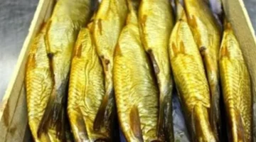 أسعار الفسيخ تسجل 600 جنيه وسط تباين تكاليف الأسماك المملحة بالمحافظات